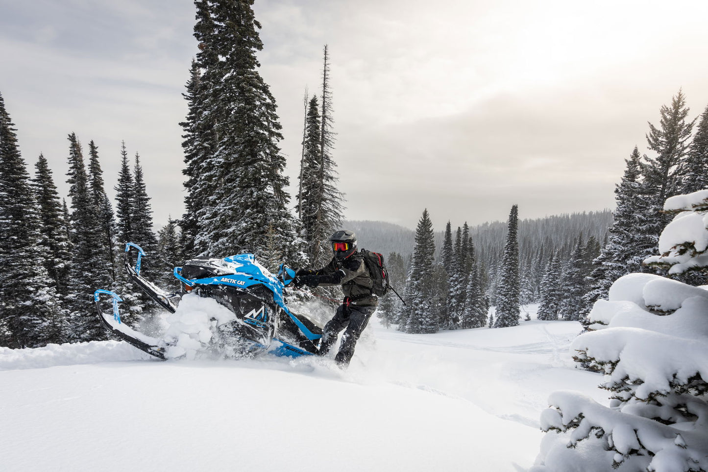 MC 858 146 ES 2,6 MY25