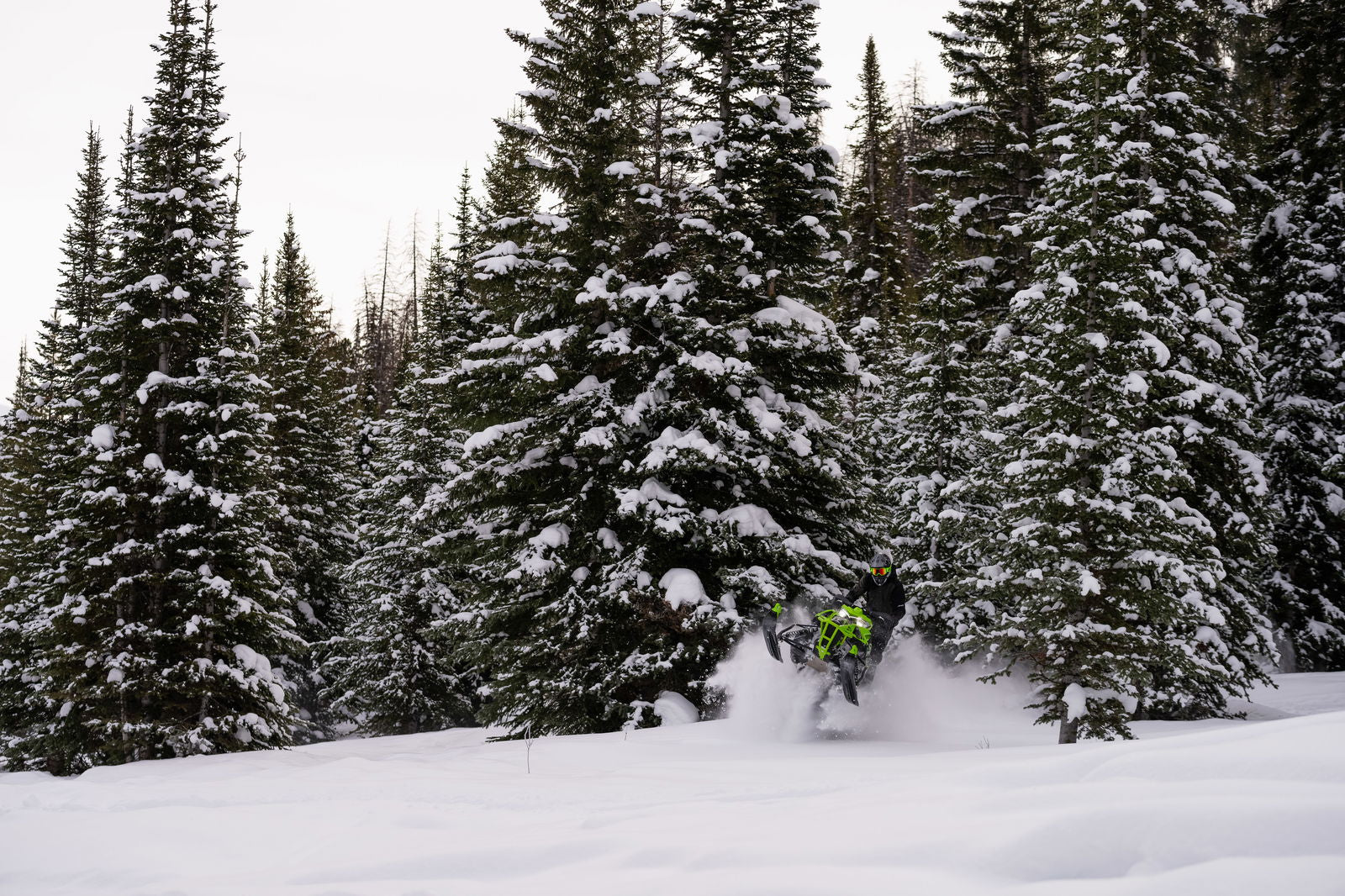 Riot X8000 146 ES QS3 MY24