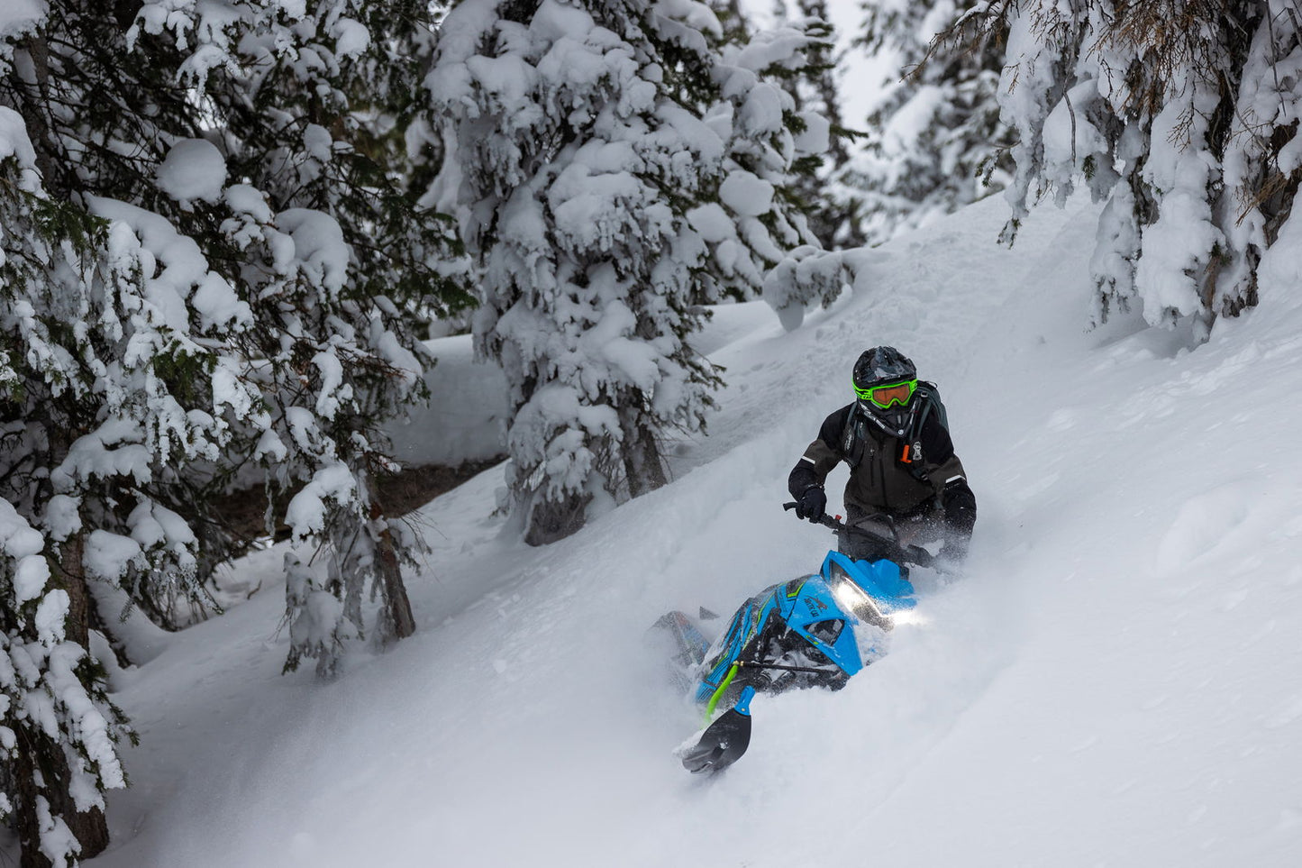 M8000 146 Hardcore A1 MY24