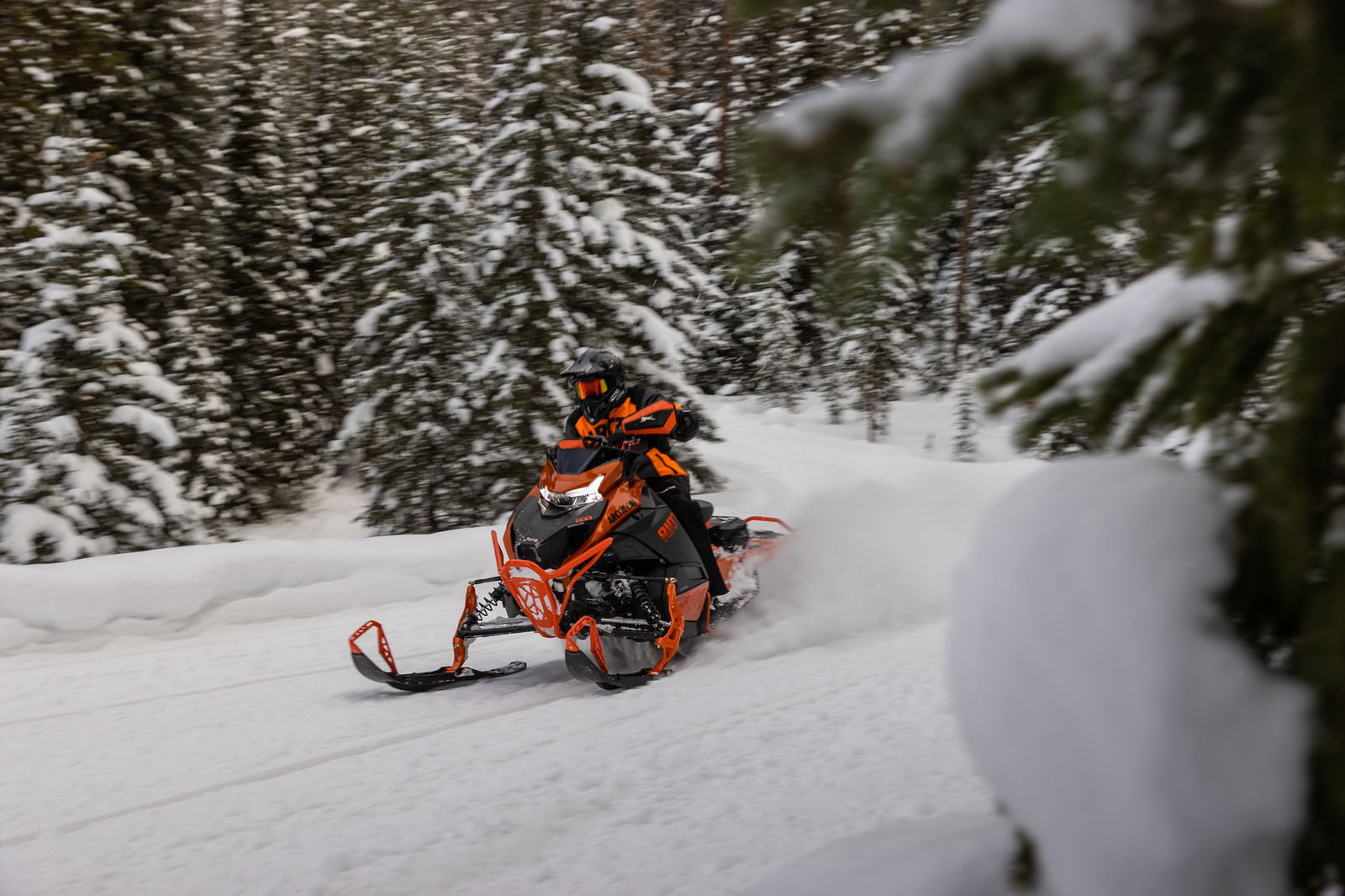 Riot 600 146 IFP ES MY24 O