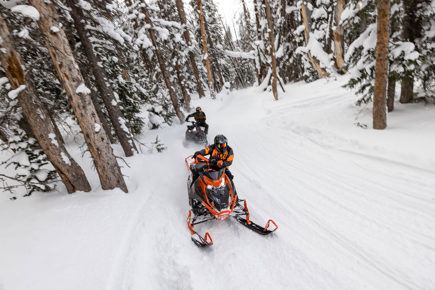 Riot 600 146 IFP ES MY24 O