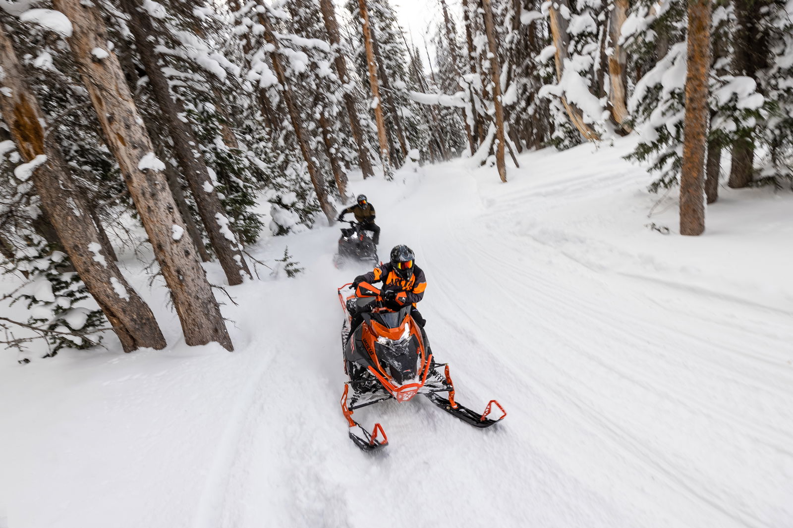 Riot 600 146 IFP ES MY24 O