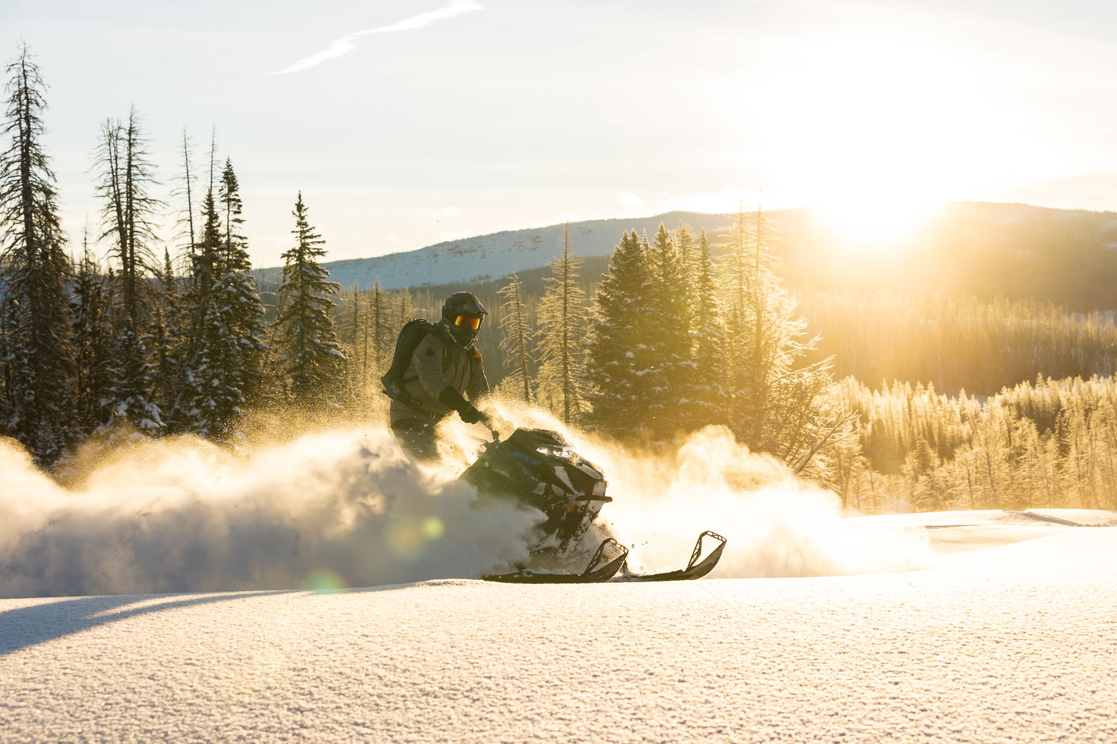 M600 146 IFP ES 2,6 MY24