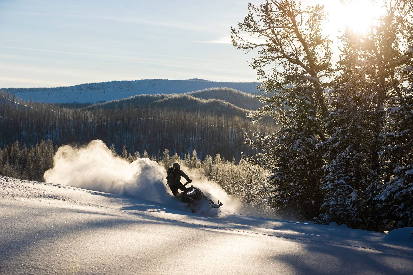 M600 154 IFP ES 2,6 MY24