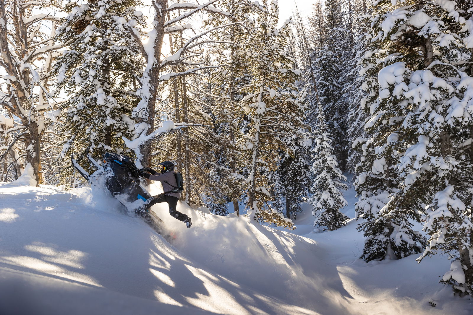 M600 146 IFP ES 2,6 MY24