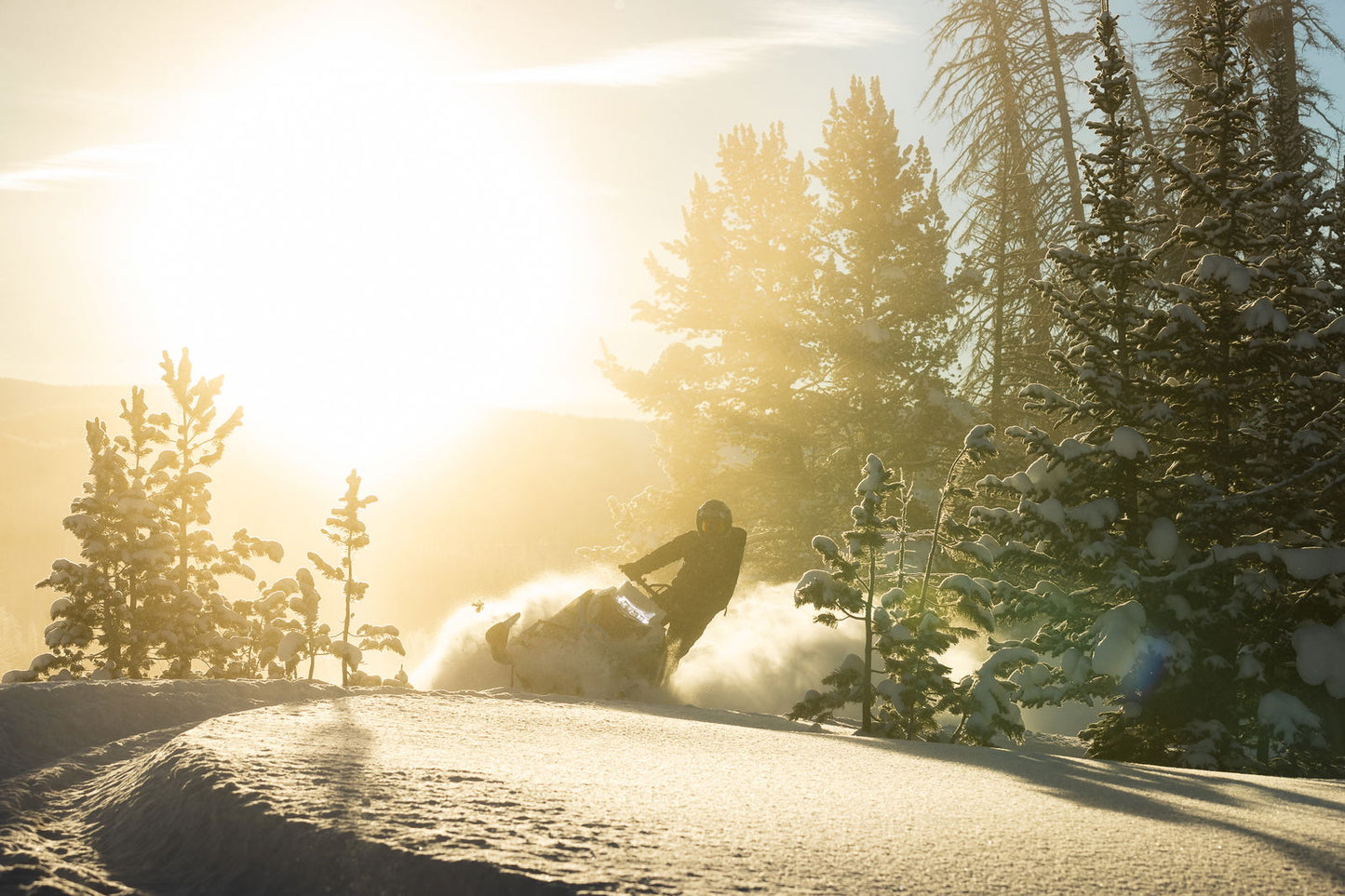 M600 154 IFP ES 2,6 MY24