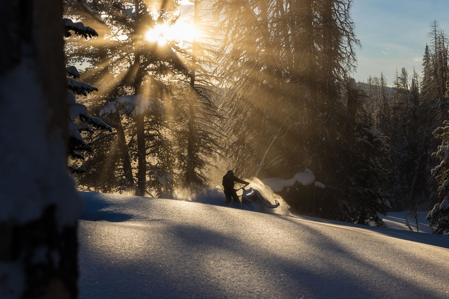 M600 154 IFP ES 2,6 MY24