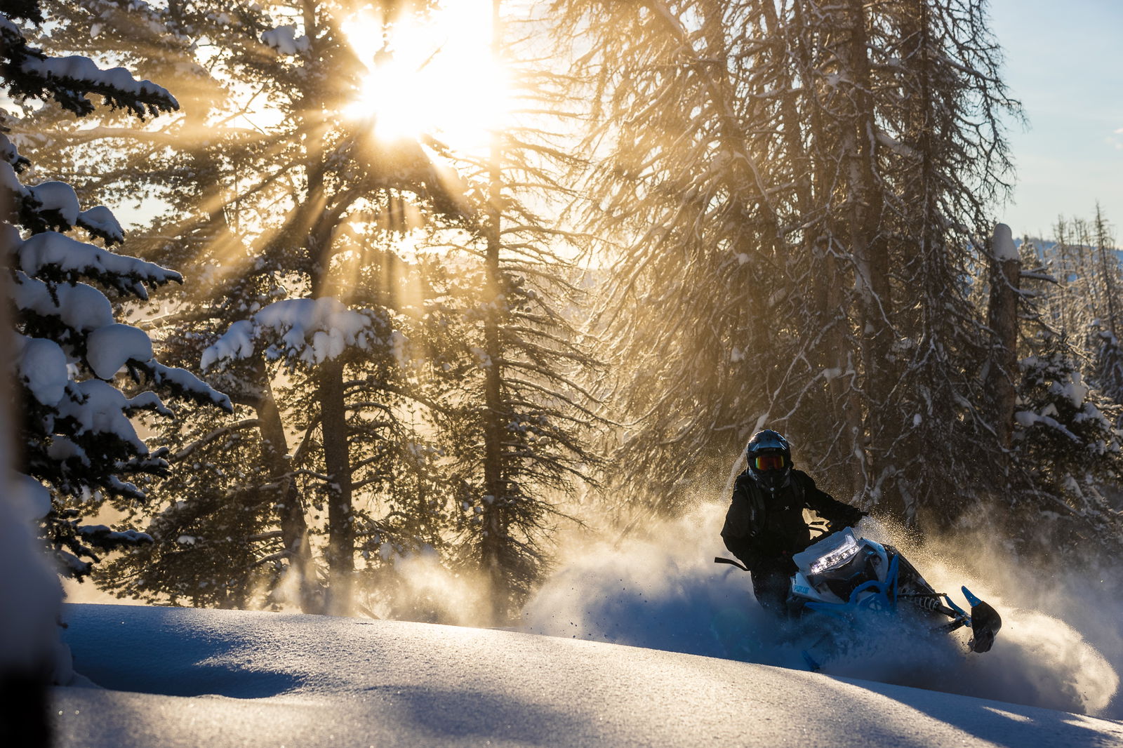 M600 154 IFP ES 2,6 MY24