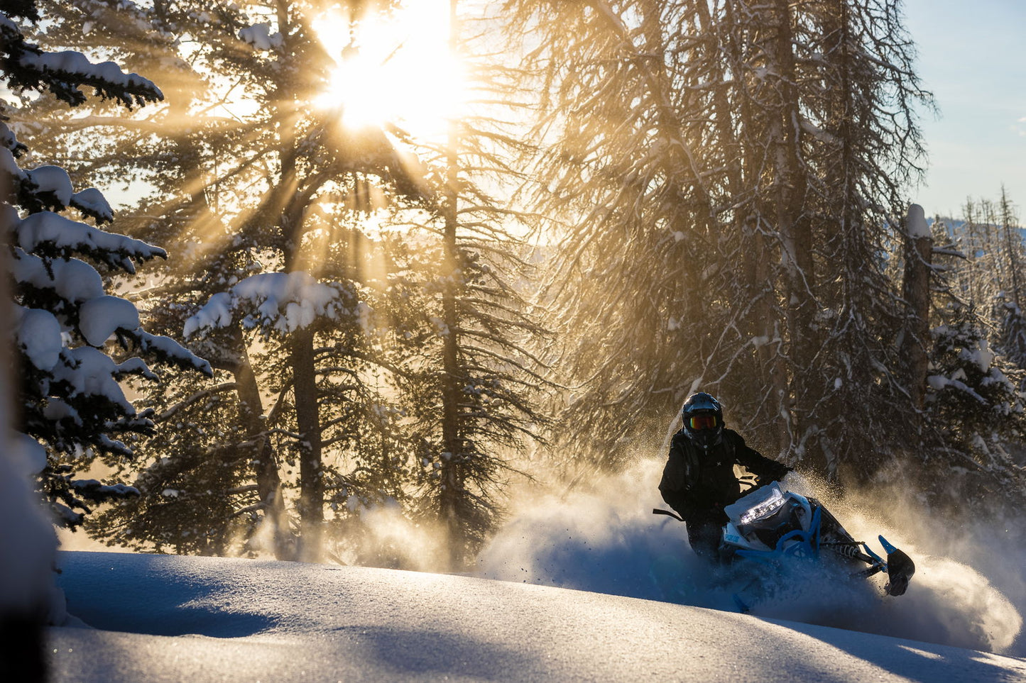 M600 146 IFP ES 2,6 MY24