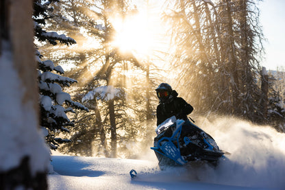 M600 146 IFP ES 2,6 MY24