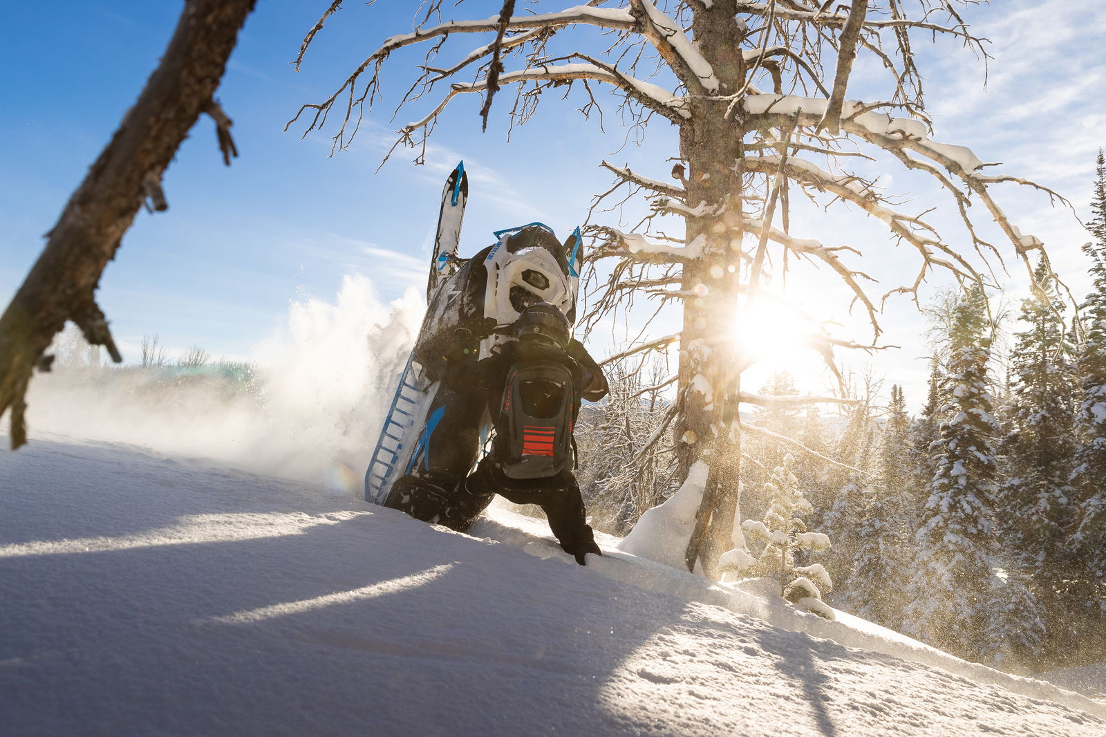 M600 146 IFP ES 2,6 MY24