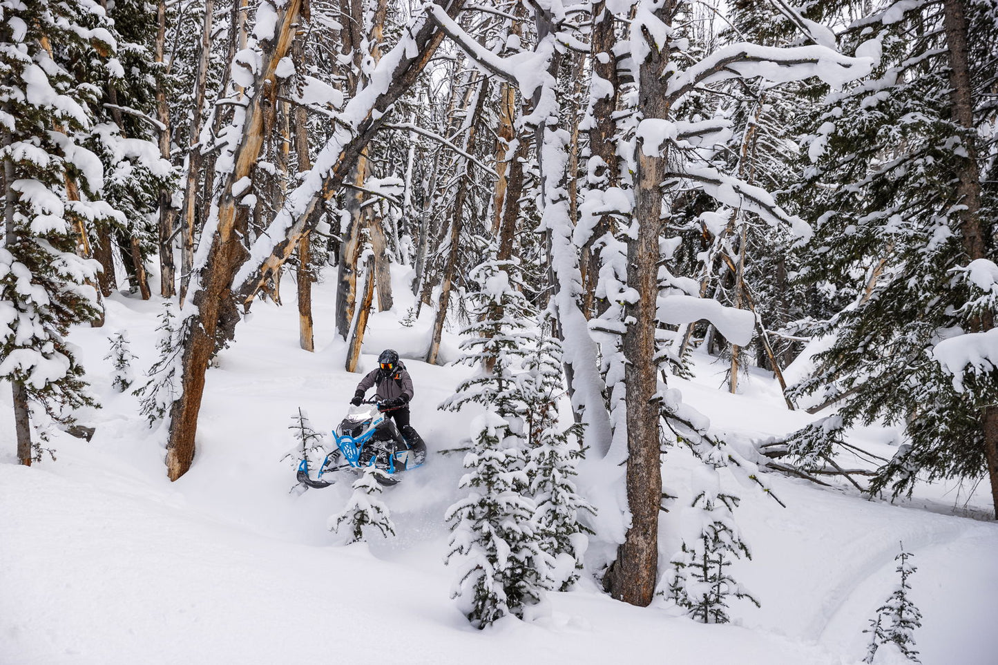 M600 146 IFP ES 2,6 MY24