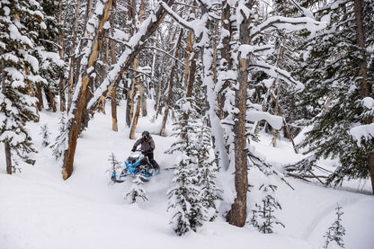 M600 146 IFP ES 2,6 MY24