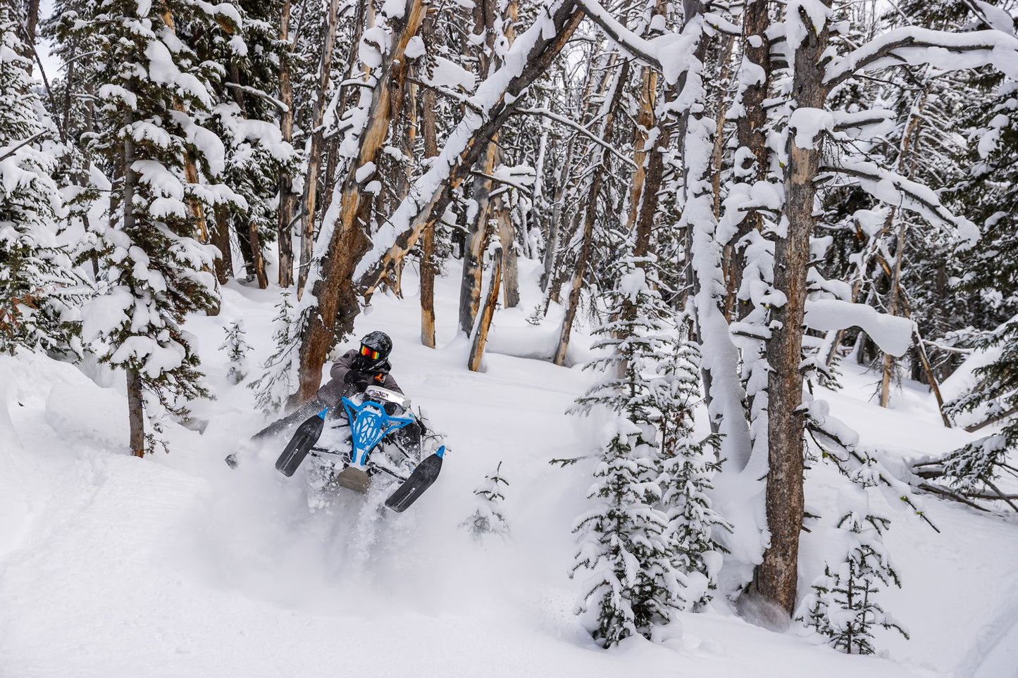 M600 146 IFP ES 2,6 MY24