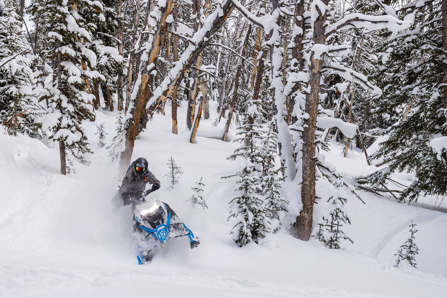 M600 146 IFP ES 2,6 MY24