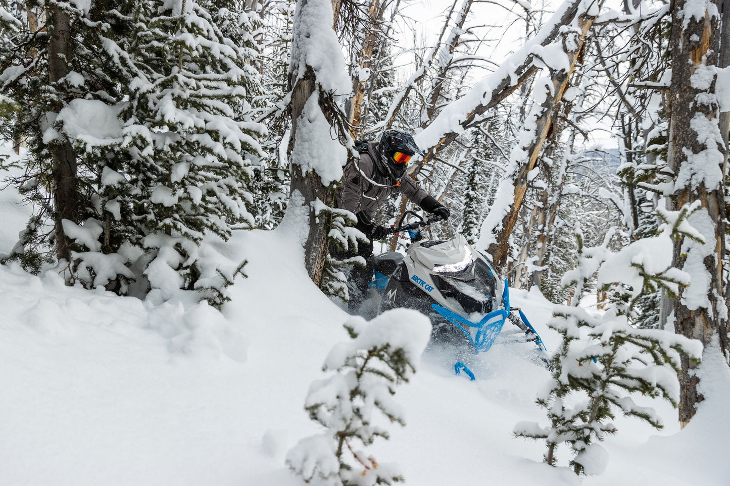 M600 146 IFP ES 2,6 MY24