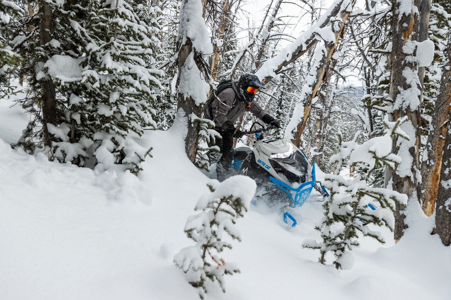 M600 146 IFP ES 2,6 MY24