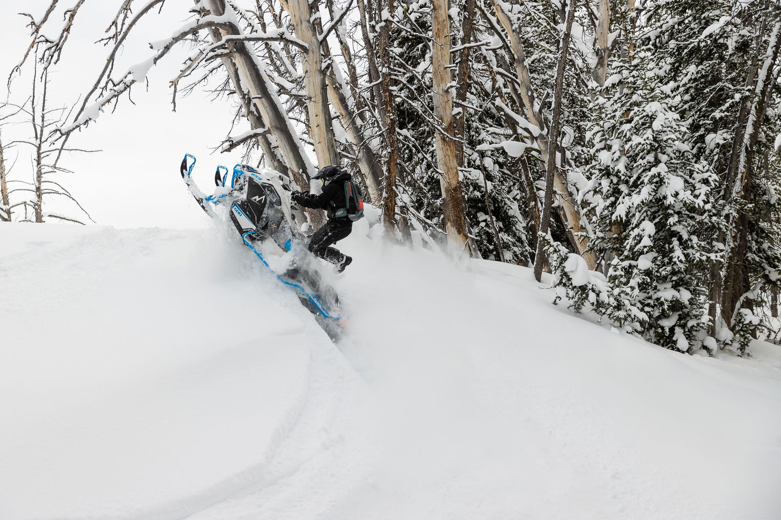 M600 146 IFP ES 2,6 MY24