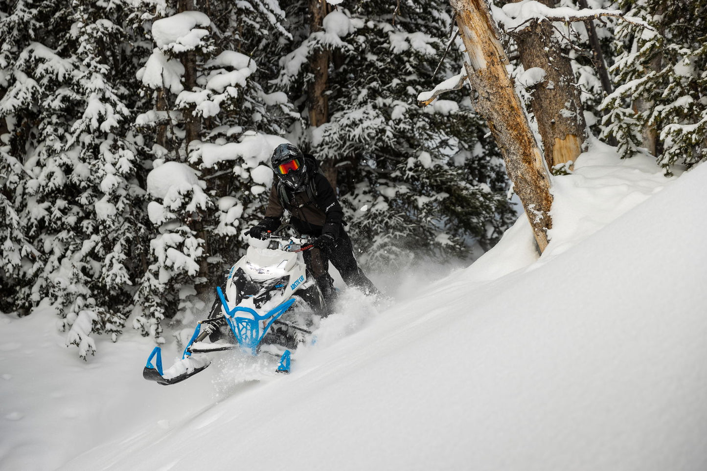 M600 146 IFP ES 2,6 MY24