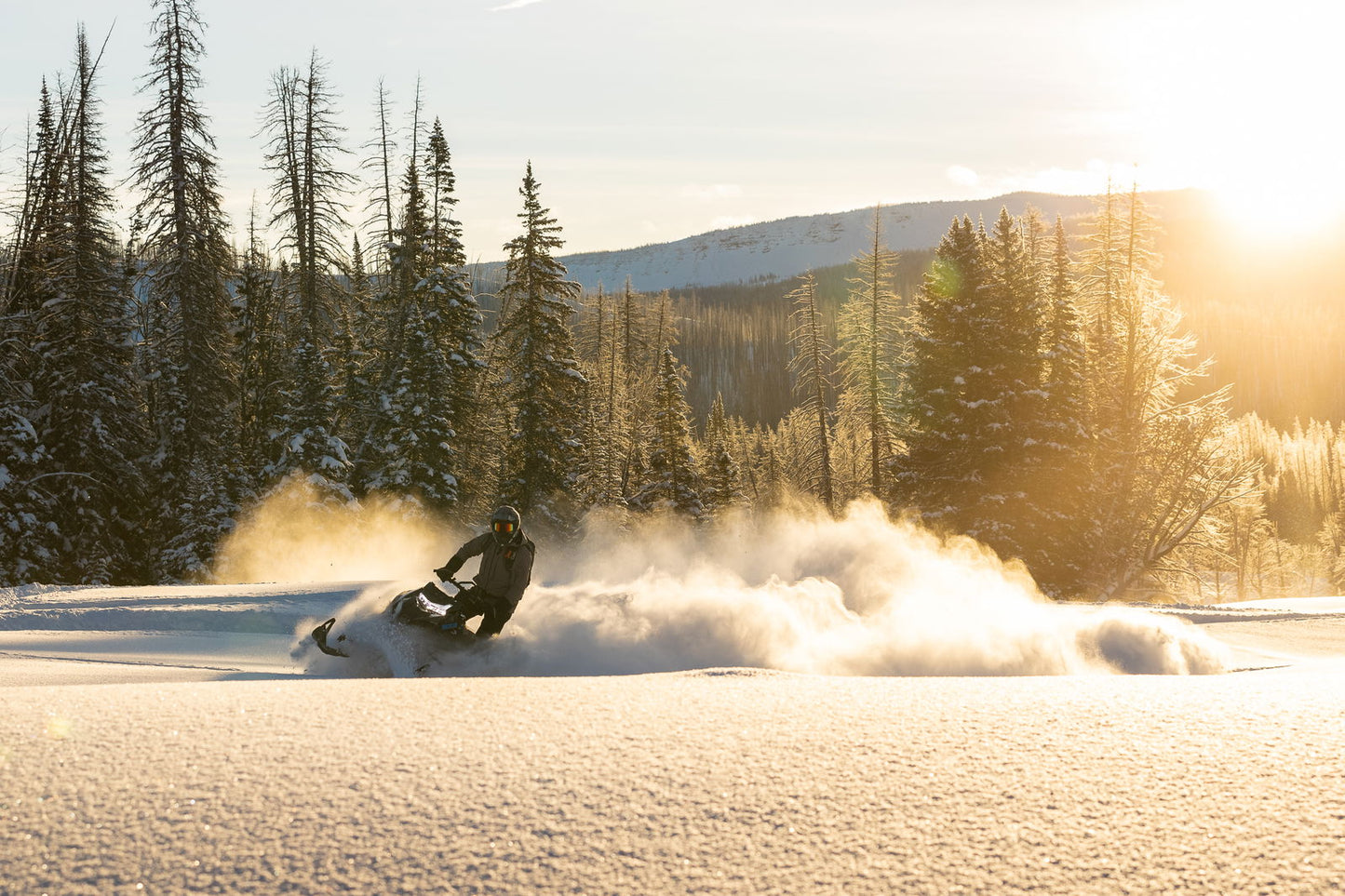 M600 146 IFP ES 2,6 MY24