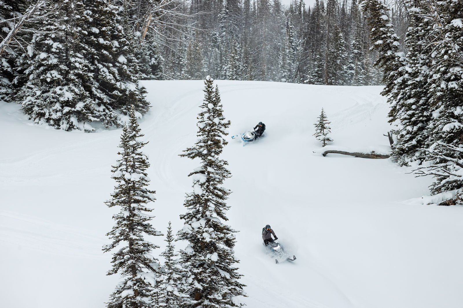 M600 146 IFP ES 2,6 MY24