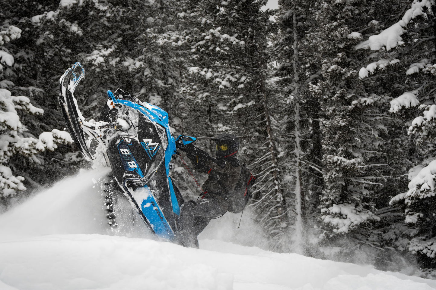 MC 858 146 ES 2,6 MY25