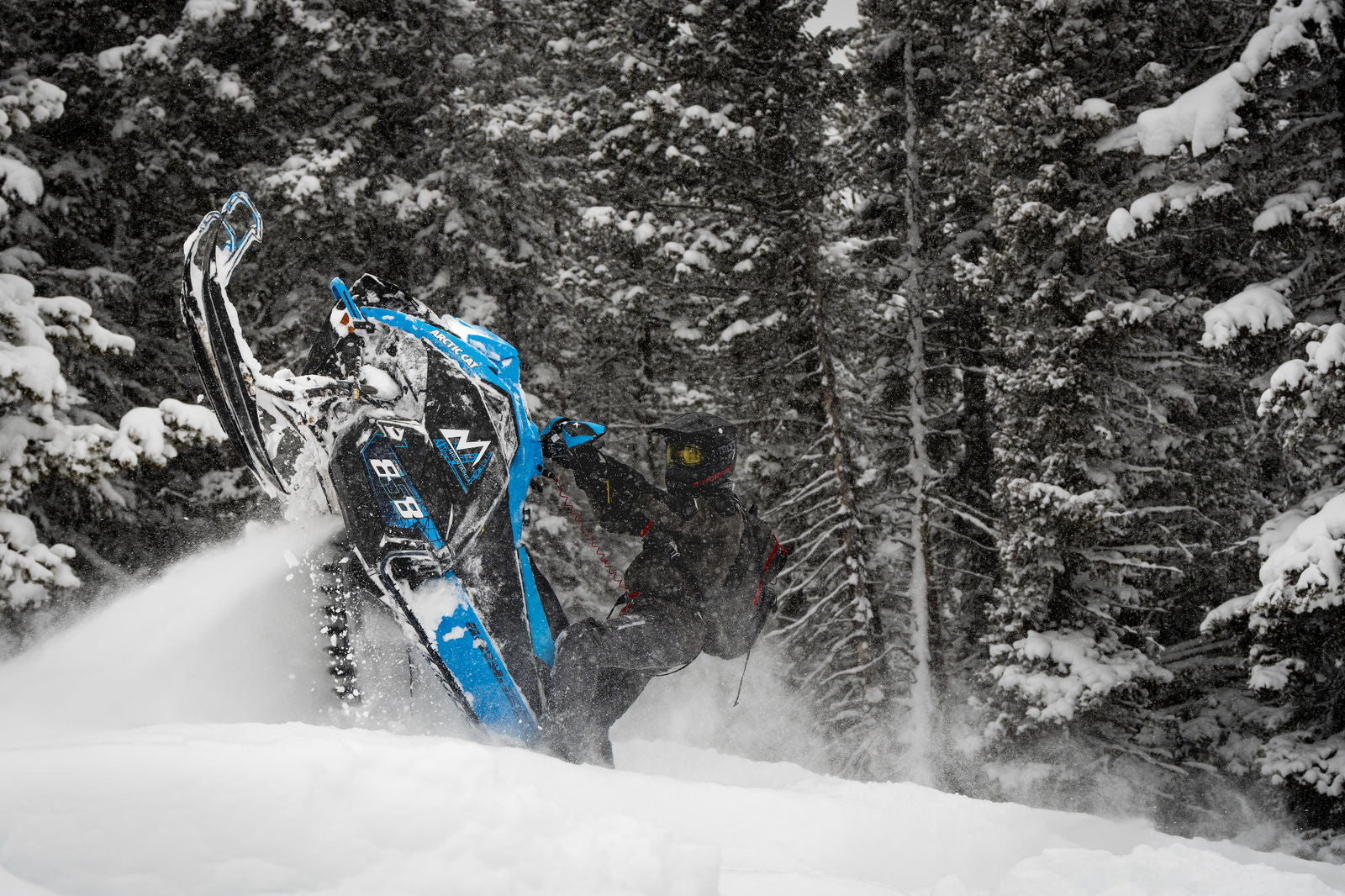 MC 858 146 ES 2,6 MY25