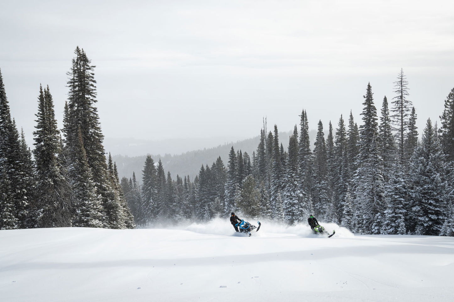 MC 858 146 ES 2,6 MY25