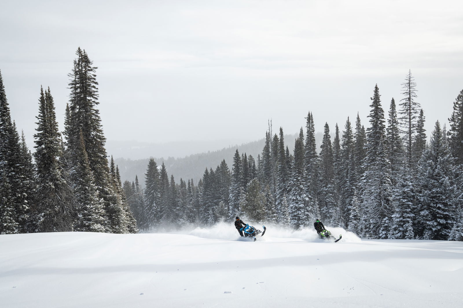 MC 858 146 ES 2,6 MY25