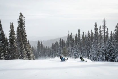 MC 858 146 ES 2,6 MY25