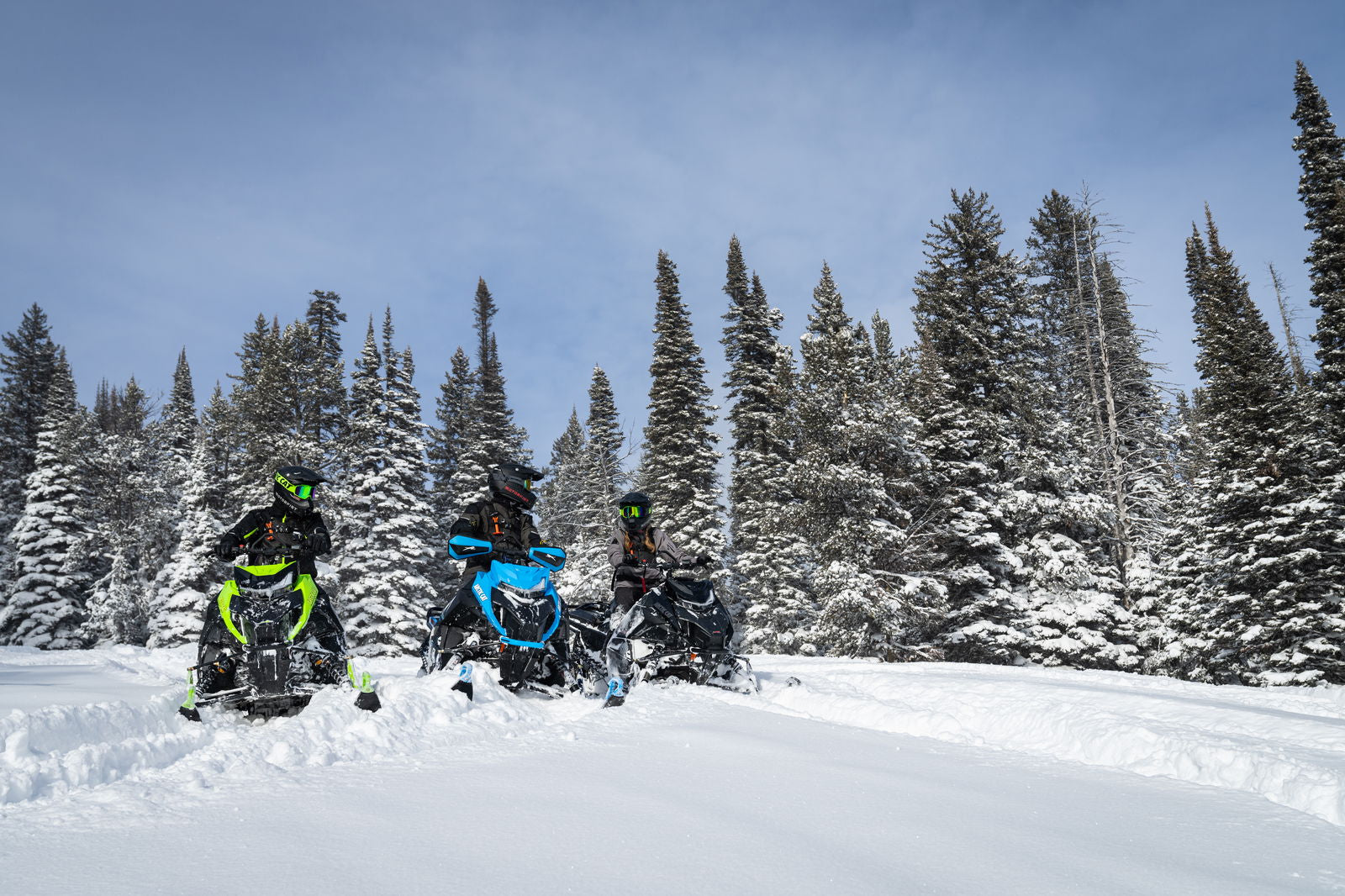 MC 858 146 ES 2,6 MY25