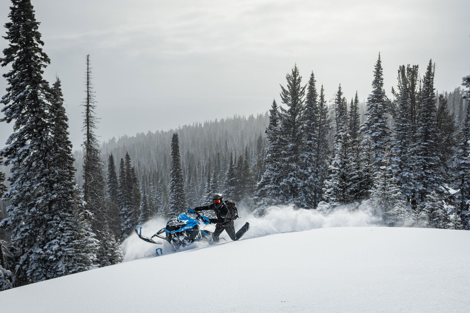 MC 858 146 ES 2,6 MY25