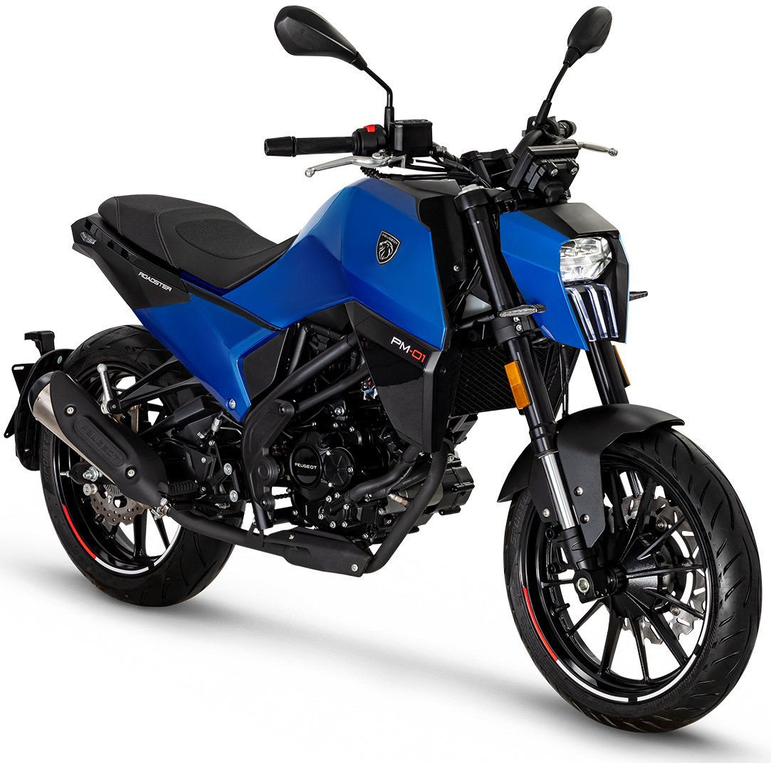 PM-01 125