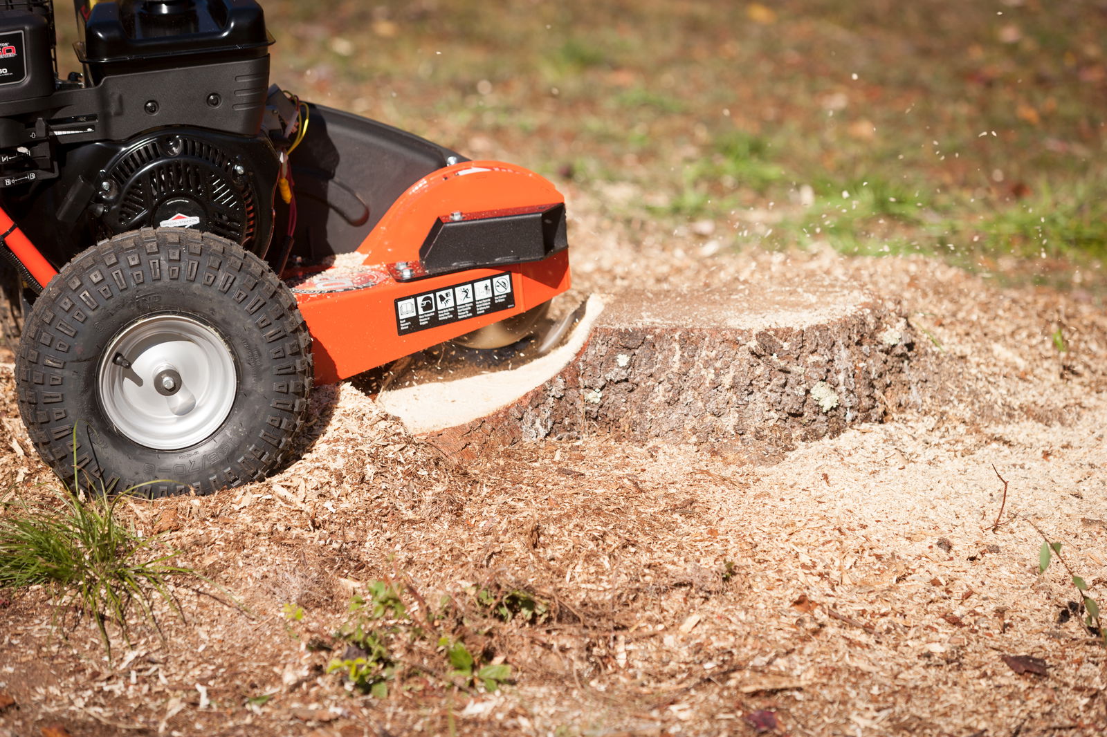 Nærbilde av hvordan Stubbfres Pro 14,5 bekjemper solide stubber
